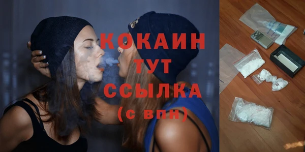 сатива Баксан