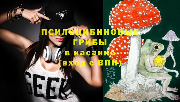 дмт Балахна