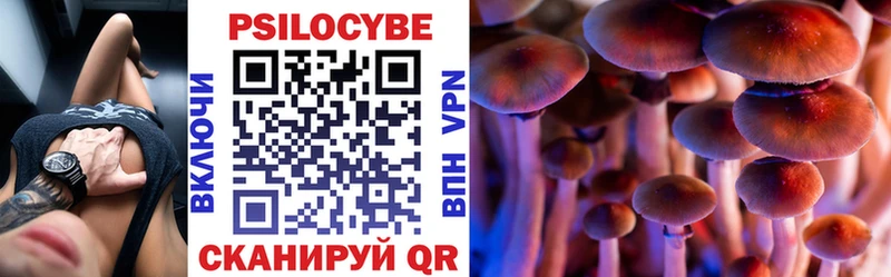 Псилоцибиновые грибы Psilocybine cubensis  купить   Белогорск 